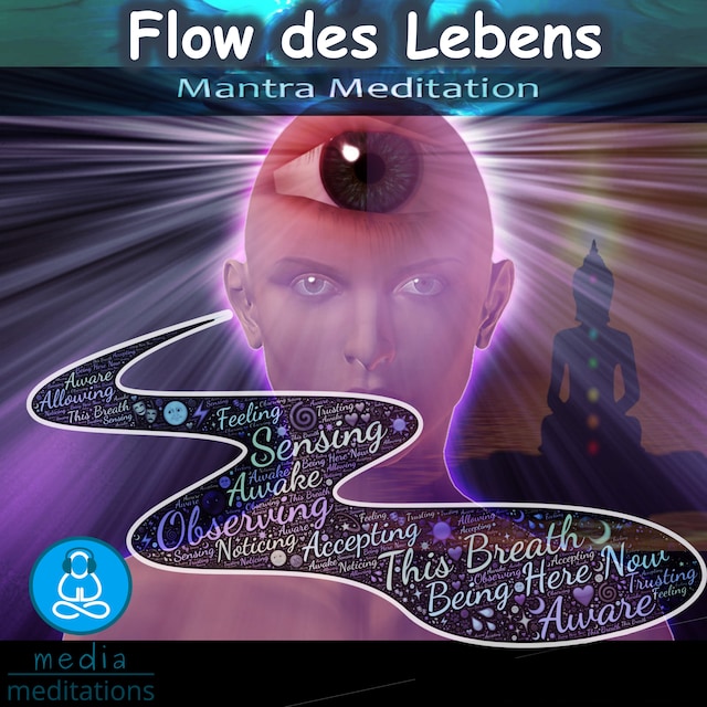Book cover for Flow des Lebens