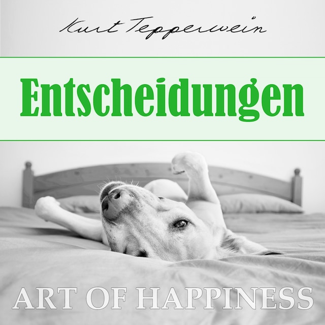 Book cover for Art of Happiness: Entscheidungen