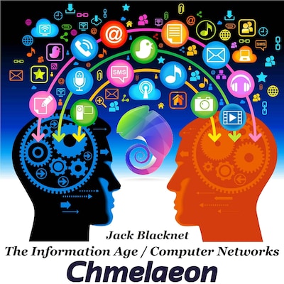The Information Age - Computer Networks