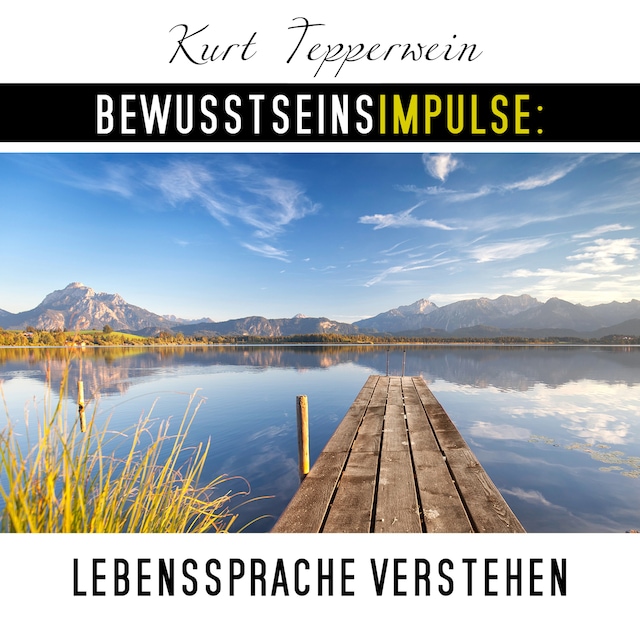 Book cover for Bewusstseinsimpulse: Lebenssprache verstehen