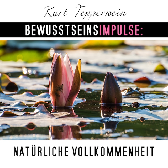 Book cover for Bewusstseinsimpulse: Natürliche Vollkommenheit