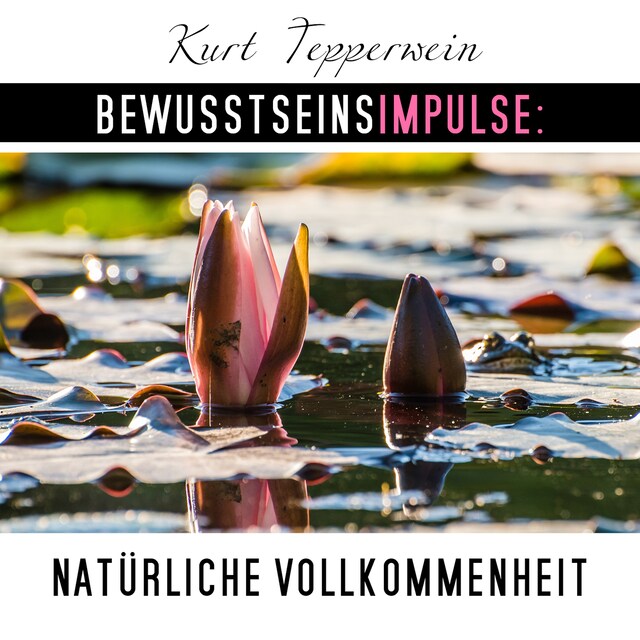 Couverture de livre pour Bewusstseinsimpulse: Natürliche Vollkommenheit