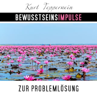 Bewusstseinsimpulse zur Problemlösung als Hörbuch