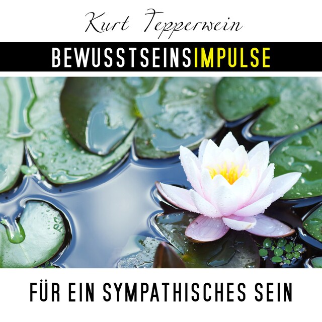 Copertina del libro per Bewusstseinsimpulse für ein sympathisches Sein