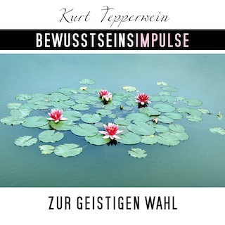 Bewusstseinsimpulse zur geistigen Wahl als Hörbuch