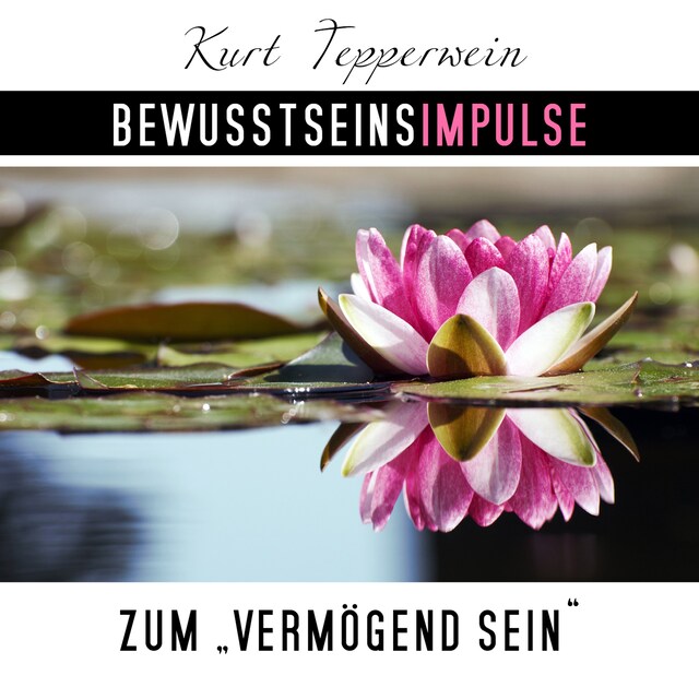 Book cover for Bewusstseinsimpulse zum Vermögend-Sein