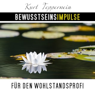 Bewusstseinsimpulse für den Wohlstandsprofi als Hörbuch