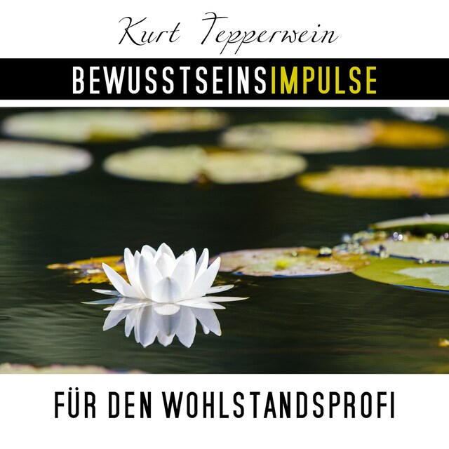 Book cover for Bewusstseinsimpulse für den Wohlstandsprofi