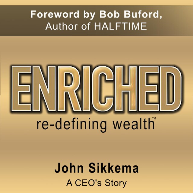 Bogomslag for Enriched, Re-Defining Wealth