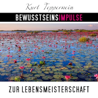 Bewusstseinsimpulse zur Lebensmeisterschaft als Hörbuch