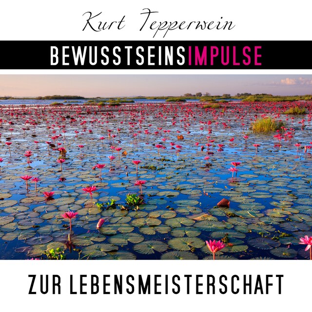 Book cover for Bewusstseinsimpulse zur Lebensmeisterschaft