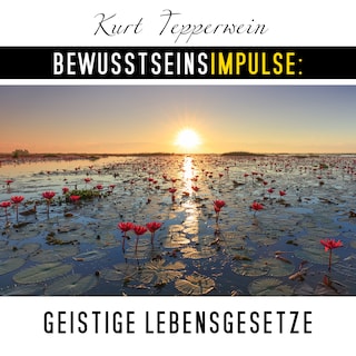 Bewusstseinsimpulse: Geistige Lebensgesetze als Hörbuch