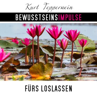 Bewusstseinsimpulse fürs Loslassen als Hörbuch