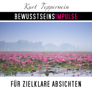 Bewusstseinsimpulse für zielklare Absichten als Hörbuch