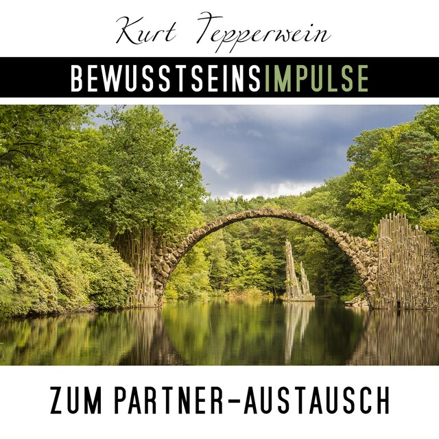 Book cover for Bewusstseinsimpulse zum Partner-Austausch