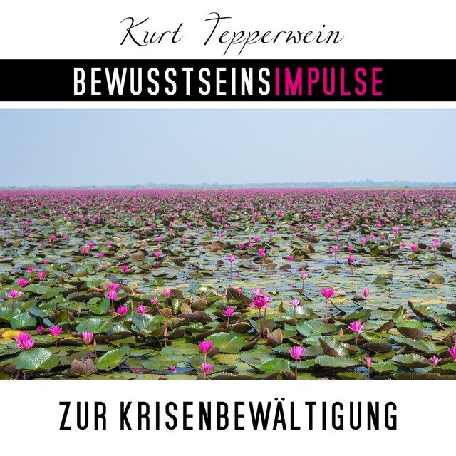 Book cover for Bewusstseinsimpulse zur Krisenbewältigung