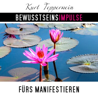 Bewusstseinsimpulse fürs Manifestieren als Hörbuch
