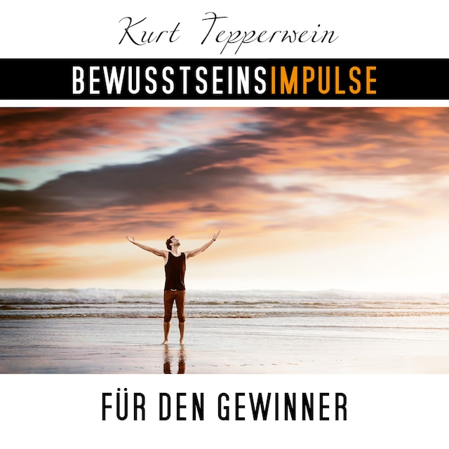 Book cover for Bewusstseinsimpulse für den Gewinner