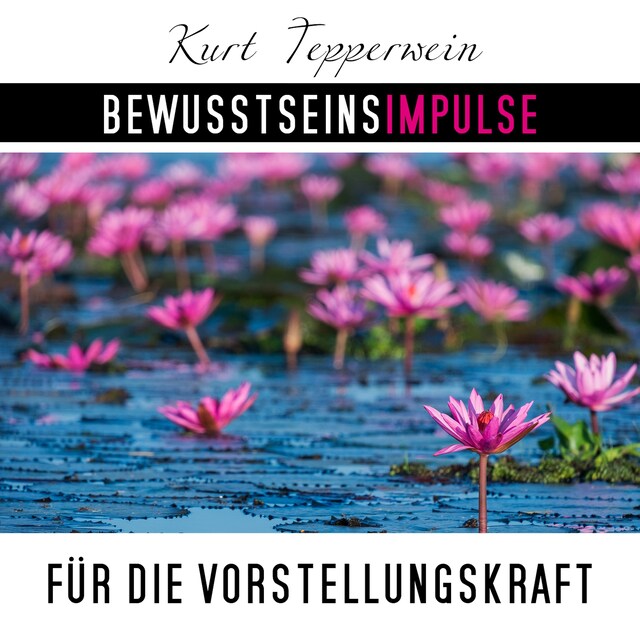 Book cover for Bewusstseinsimpulse für die Vorstellungskraft