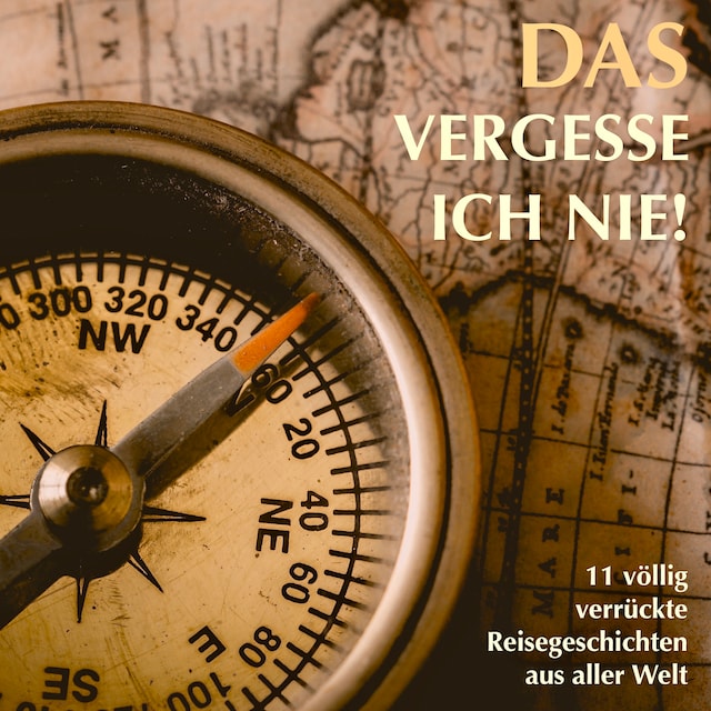 Book cover for 11 völlig verrückte Reisegeschichten aus aller Welt