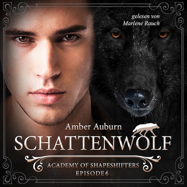 Book cover for Schattenwolf, Episode 6 - Fantasy-Serie