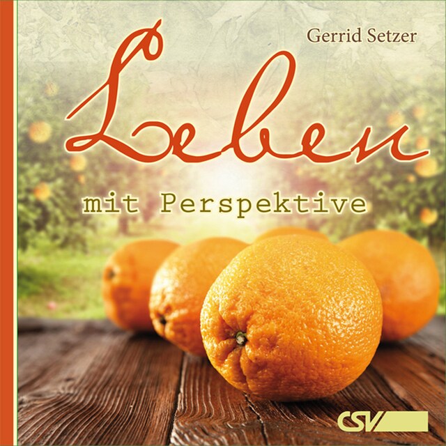 Copertina del libro per Leben mit Perspektive