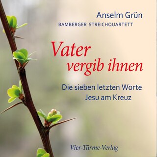 Vater vergib ihnen als Hörbuch