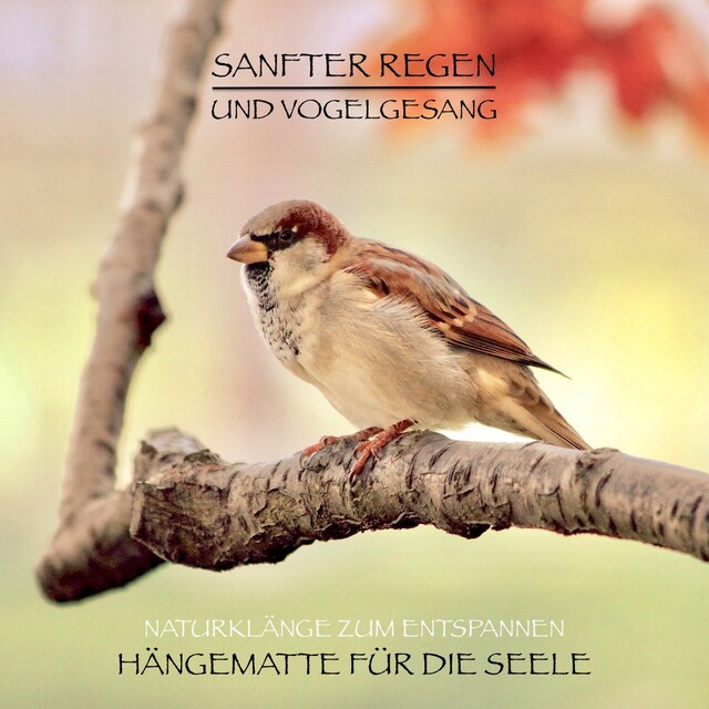 Book cover for Sanfter Regen und Vogelgesang – Naturklänge zum Entspannen