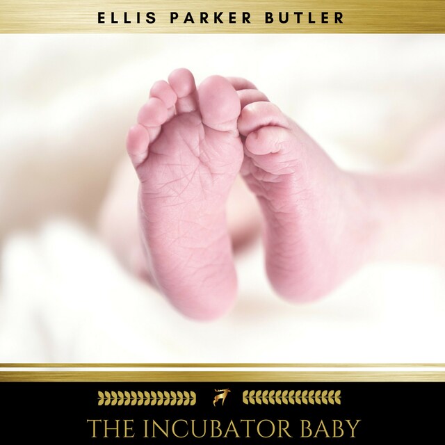 Book cover for The Incubator Baby