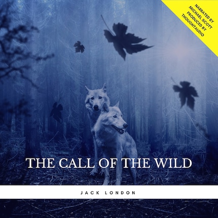 bookCoverFor
