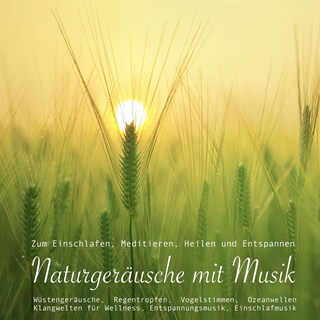 Entspannungsmusik: Naturgeräusche / Naturklänge mit traumhafter Musik zum Meditieren, Heilen und Relaxen als Hörbuch