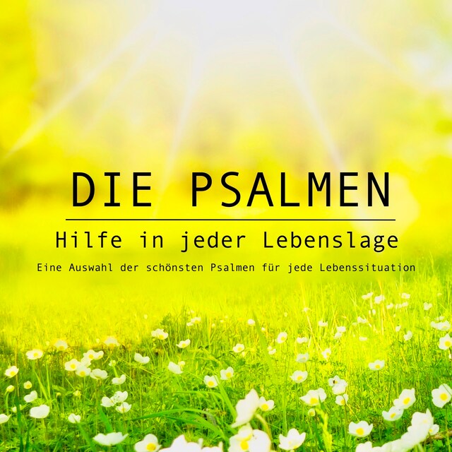 Book cover for Die Psalmen: Hilfe in jeder Lebenslage