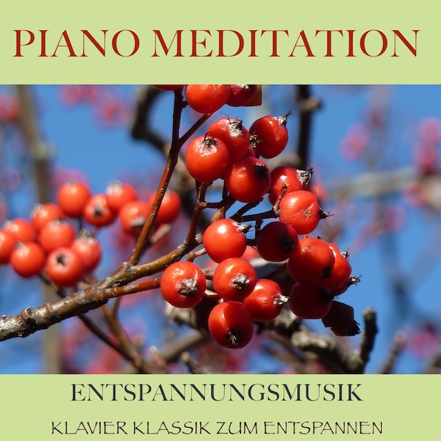 Buchcover für Piano Meditation – Entspannungsmusik