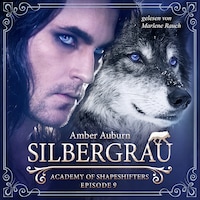 Silbergrau, Episode 9 - Fantasy-Serie