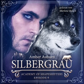 Silbergrau, Episode 9 - Fantasy-Serie als Hörbuch