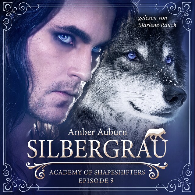 Copertina del libro per Silbergrau, Episode 9 - Fantasy-Serie