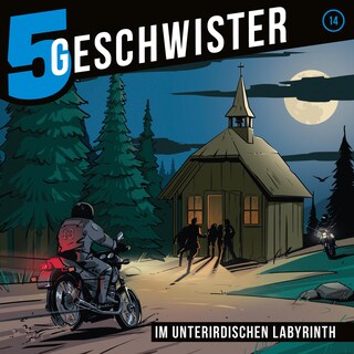 14: Im unterirdischen Labyrinth als Hörbuch