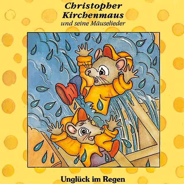 Okładka książki dla 01: Unglück im Regen