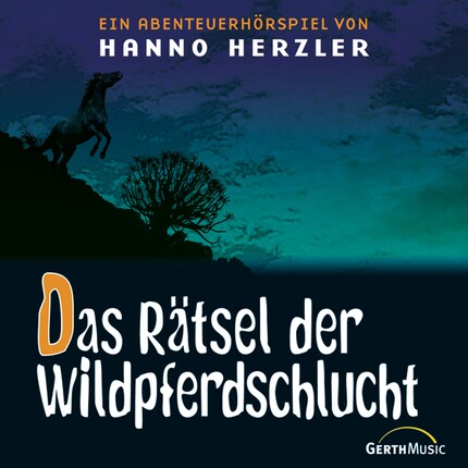 13: Das Rätsel der Wildpferdeschlucht bookCoverFor