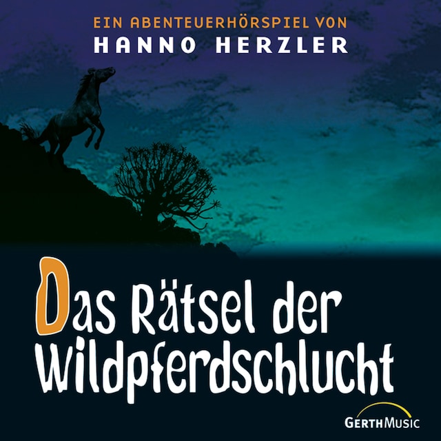 Boekomslag van 13: Das Rätsel der Wildpferdeschlucht