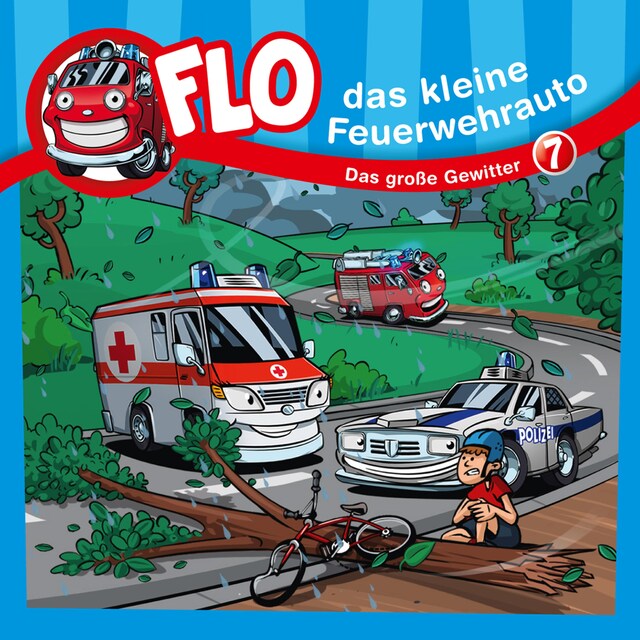 Book cover for 07: Das große Gewitter