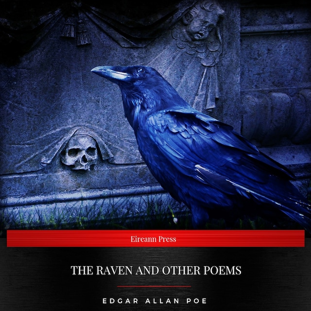 Boekomslag van The Raven and Other Poems