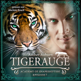 Tigerauge, Episode 7 - Fantasy-Serie als Hörbuch