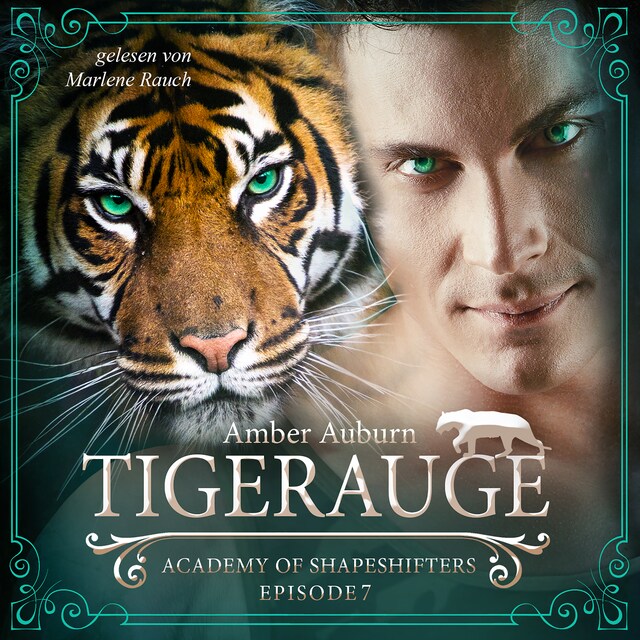 Book cover for Tigerauge, Episode 7 - Fantasy-Serie