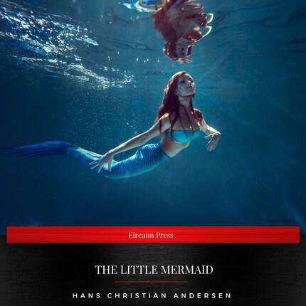 The Little Mermaid bookCoverFor