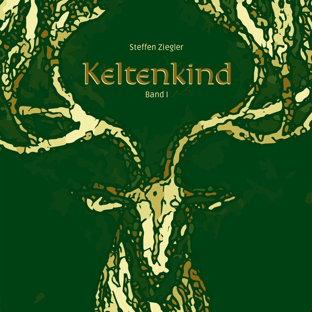 Book cover for Keltenkind