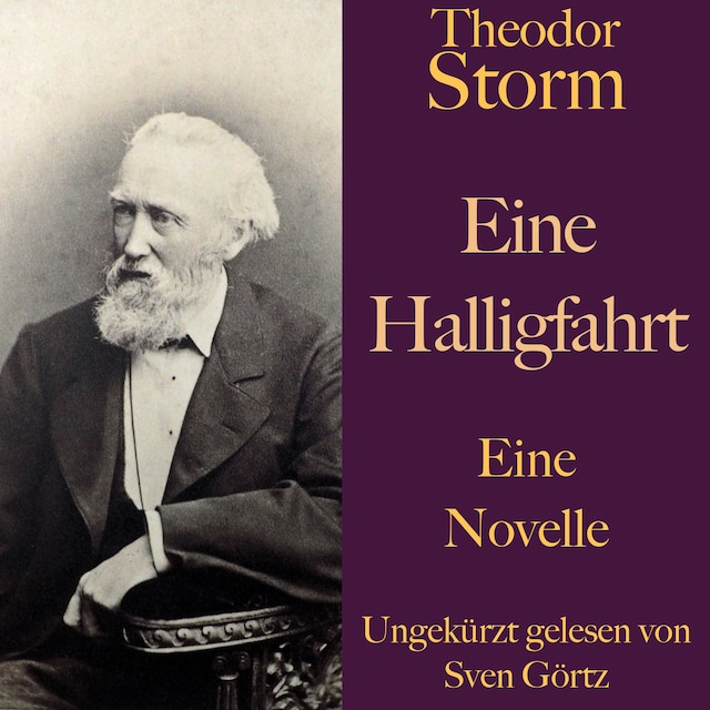 Book cover for Theodor Storm: Eine Halligfahrt