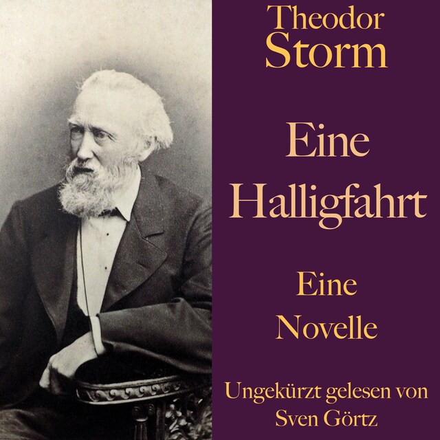 Buchcover für Theodor Storm: Eine Halligfahrt