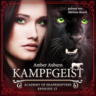 Kampfgeist, Episode 12 - Fantasy-Serie als Hörbuch