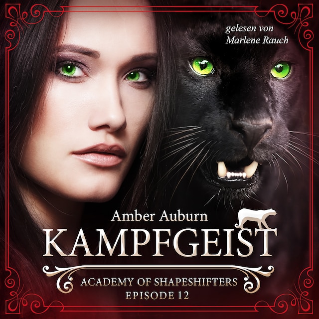 Book cover for Kampfgeist, Episode 12 - Fantasy-Serie